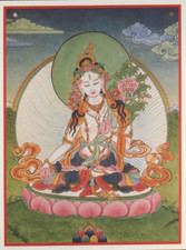 White Tara, Buddhist Tibetan