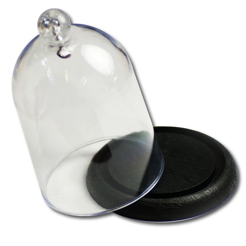 Pocket watch display - , dome