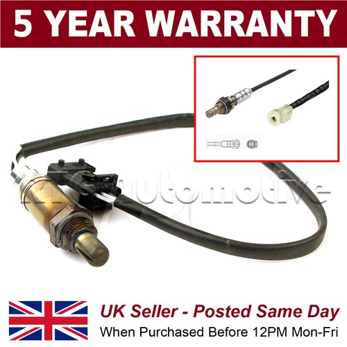 Rear wire oxygen - wire,