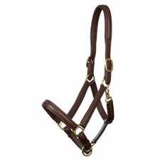 LEATHER HEAD COLLAR FULLY