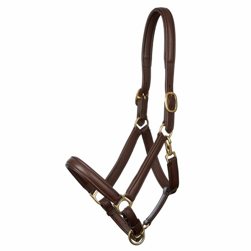 Leather head collar fully - head,