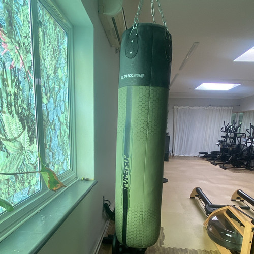 Alphoxpro hanging punch - alphoxpro,