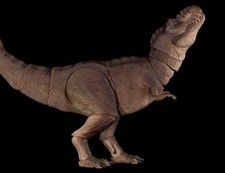 NANMU Female Tyrannosaurus rex