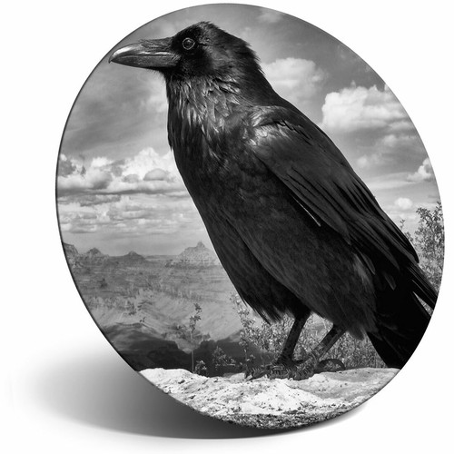 Awesome fridge magnet black - -,