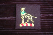 British army 39th skinners - army,
