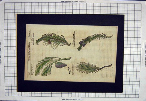 Original old antique print - original,