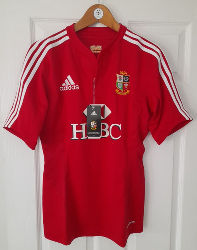 British irish lions - lions, south