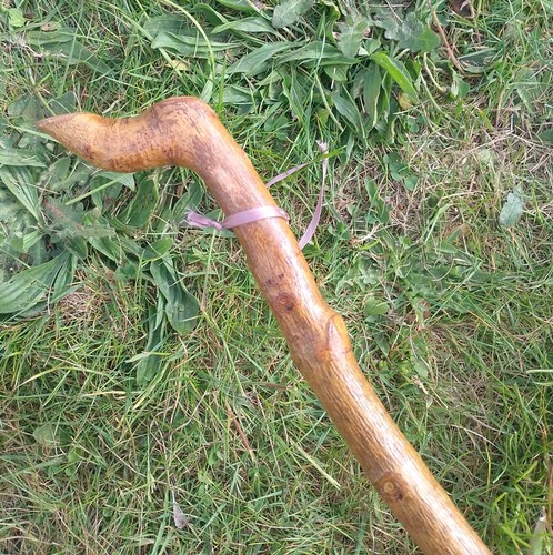 Vintage wooden root - vintage,