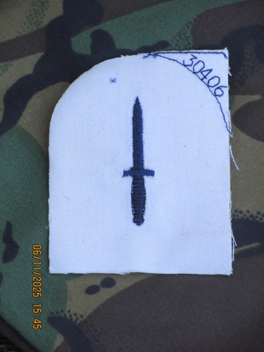 Royal navy commando badge - commando,
