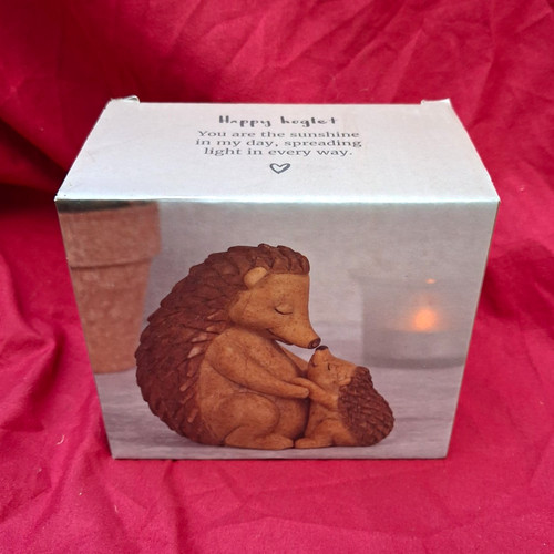 Hedgehog mother baby - hedgehog, &