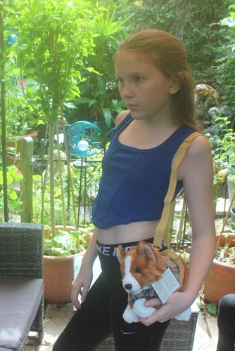 Corgi shaped hand shoulder - shaped,