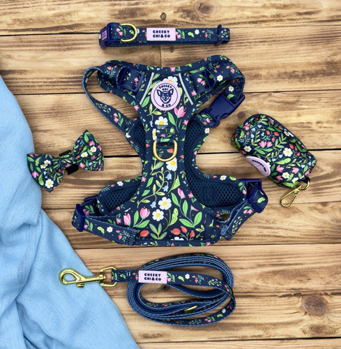 Twilight blooms dog - twilight, harness
