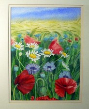 Vintage 1986 Framed, Mounted
