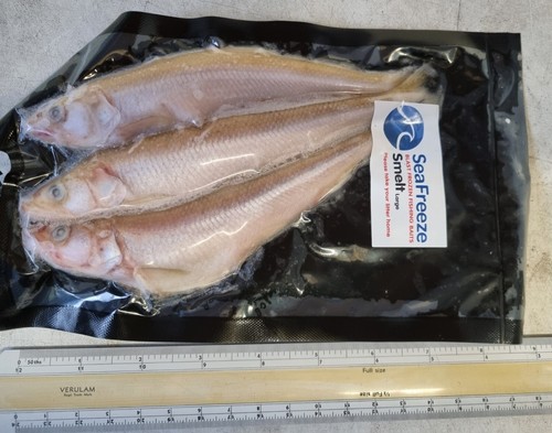 Smelt pike fishing - ,