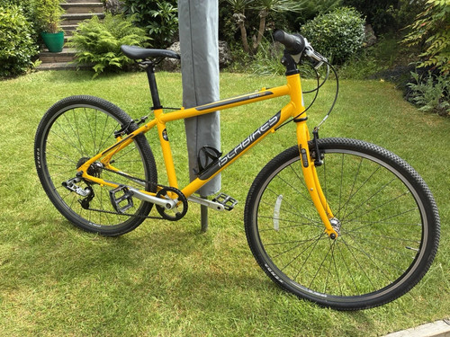Islabike kids bein - bein, rare