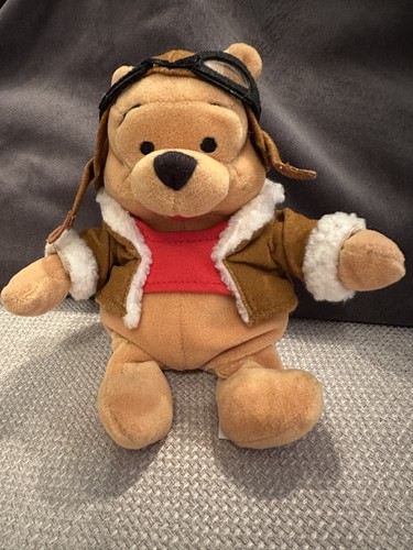 Winnie the pooh pilot disney - winnie,
