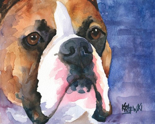Boxer high resolution - boxer, of