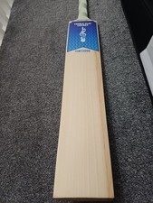 Cricket Bat Short Handle Grade