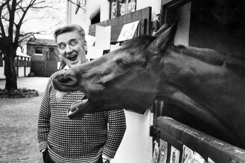Red rum 1977 grand - grand, national
