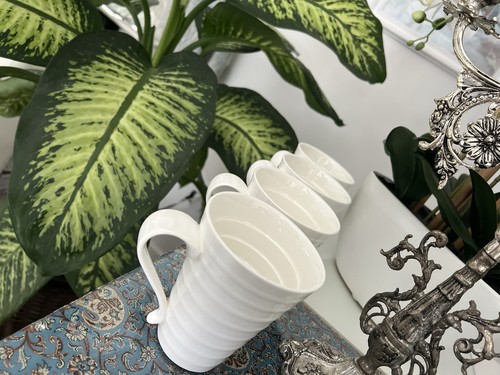 Set pausa ripple - of, 4x
