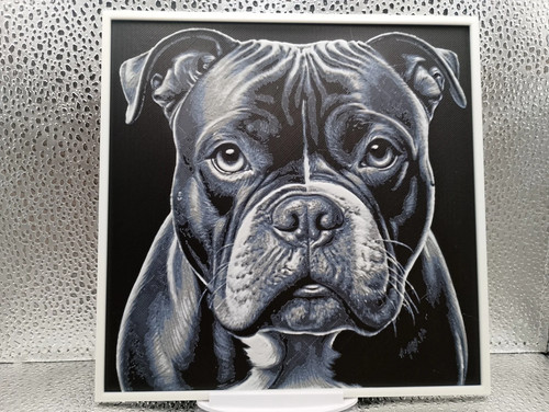 American bully hueforge - bully, –