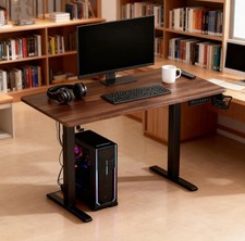 Electric Standing Computer