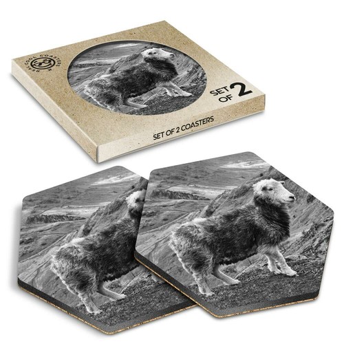 Hexagon coasters bw - x,