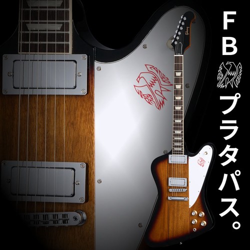 Gibson firebird platypus - gibson,