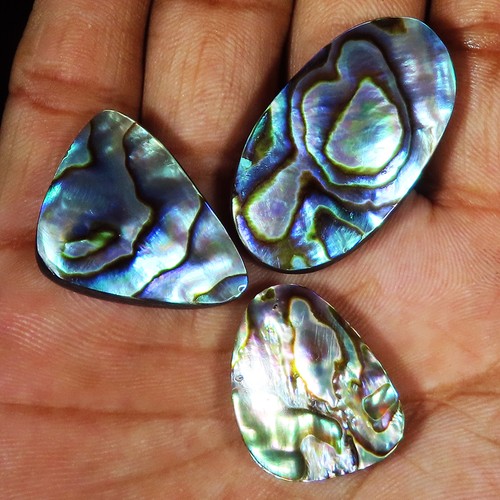 Cts 100 natural abalone - 99.90,