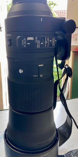 Sigma 150 600 lens nikon - 150-600,