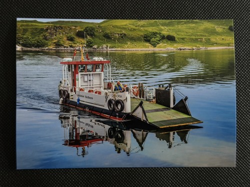 6x4 print caledonian macbrayne - print,