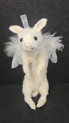 Angel bunny funny taxidermy - bunny,