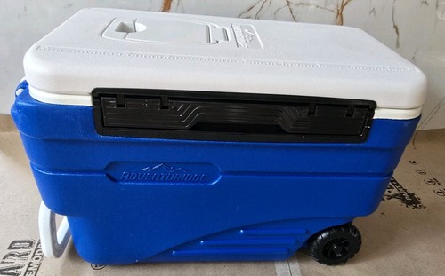 Cool cooler ice insulated box - ice,