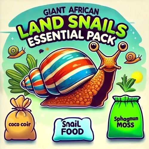 Giant african land snail - giant,