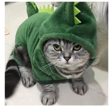 New Small Medium  Cat Dinosaur