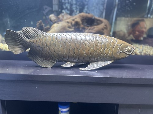Bronze arowana fish sculpture - bronze,
