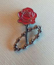 "Rose Among the Stars" lapel