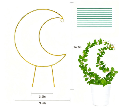 Sturdy iron moon style - sturdy, plant