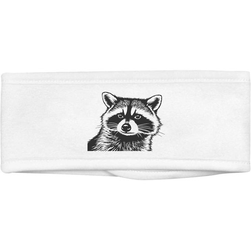 Raccoon front view beauty - front,