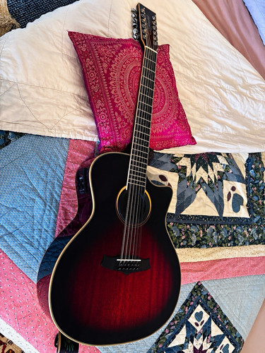 Tanglewood winterleaf tw1200sr - tanglewood,