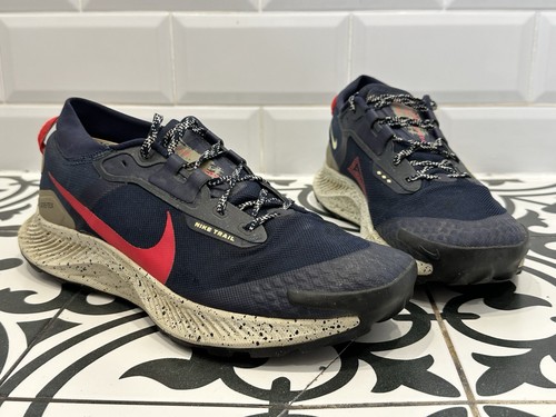 Nike pegasus trail gtx - trail,