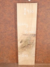 250+mm Wide Thick English