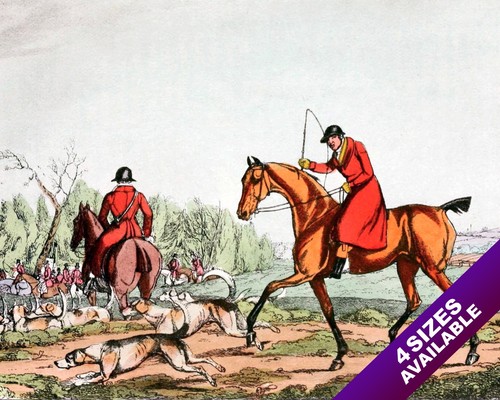 The whip fox hunt - fox,