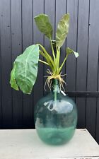 Large Vintage Bottle Green Glass Carboy