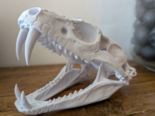 Printed snake skull - printed, –