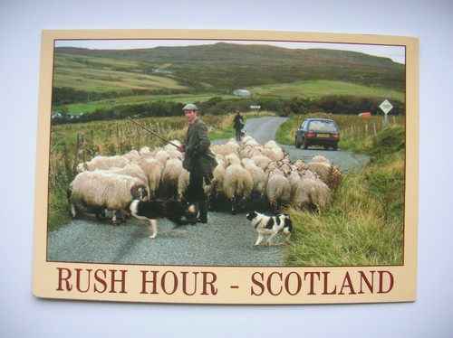 Scotland postcard scottish - scotland,