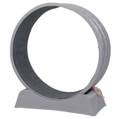 Cat exercise wheel - exercise, pp