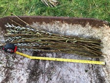 30x 60cm Hybrid Willow