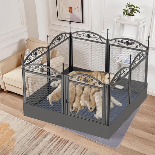 Spacious large dog whelping - dog,