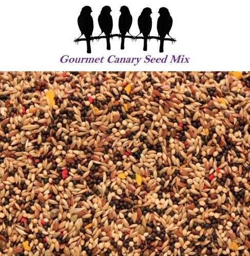 Gourmet canary seed - canary,